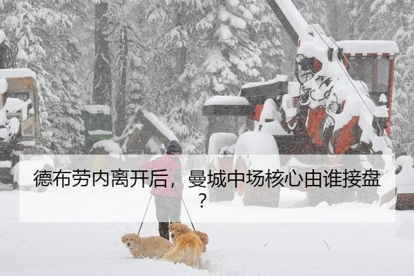 德布劳内离开后，曼城中场核心由谁接盘？